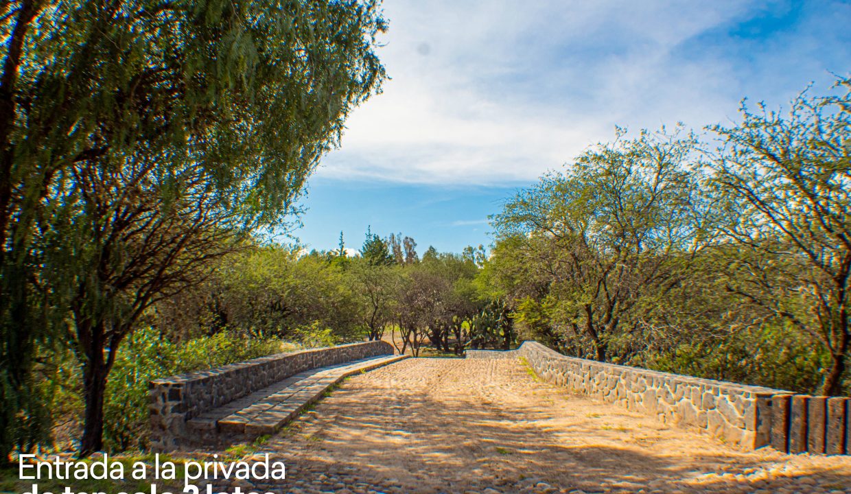 EDIT IMG_0087