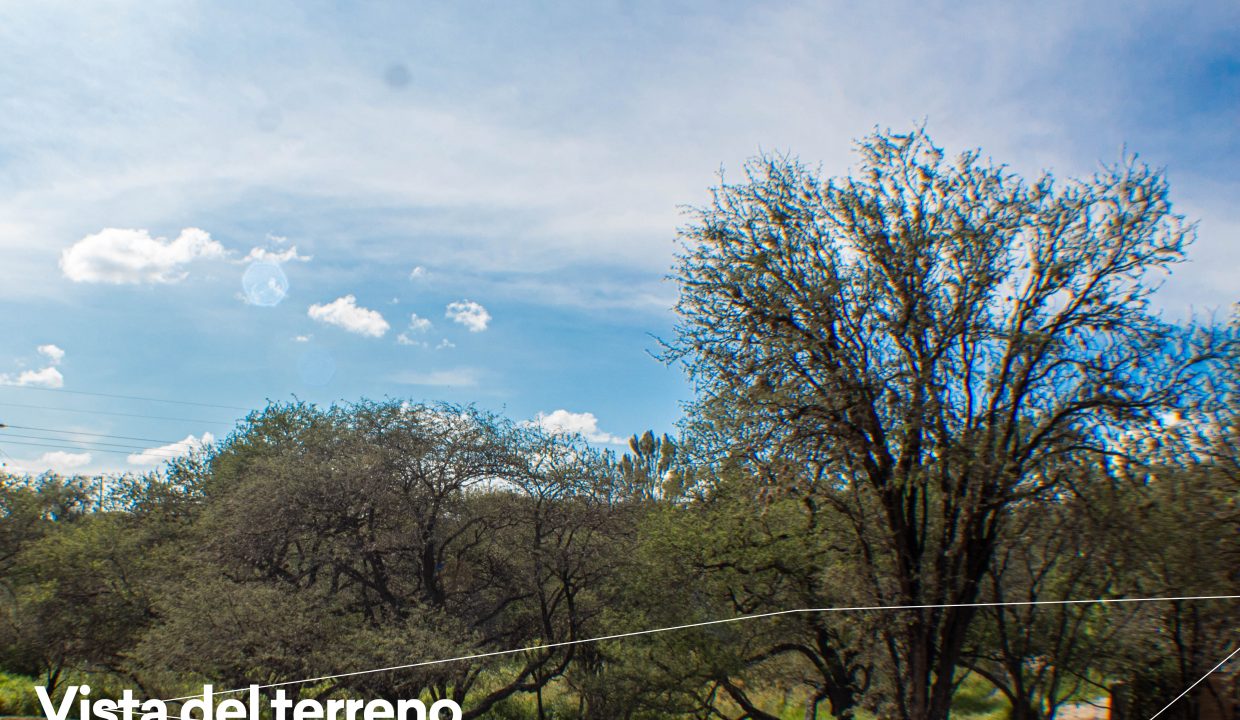 EDIT IMG_0096