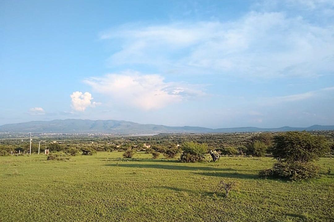 Lote Cieneguita1