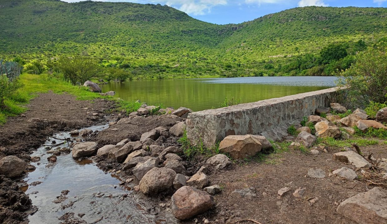 Presa