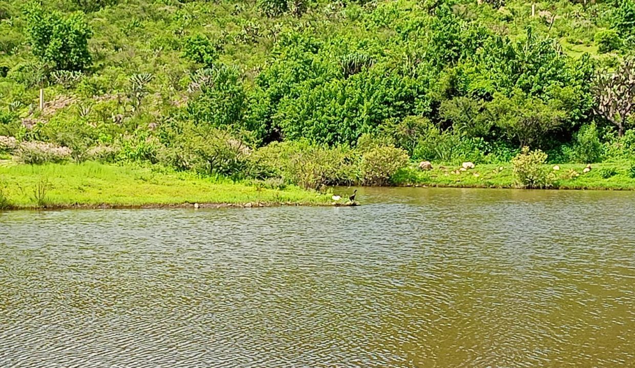 Presa 2