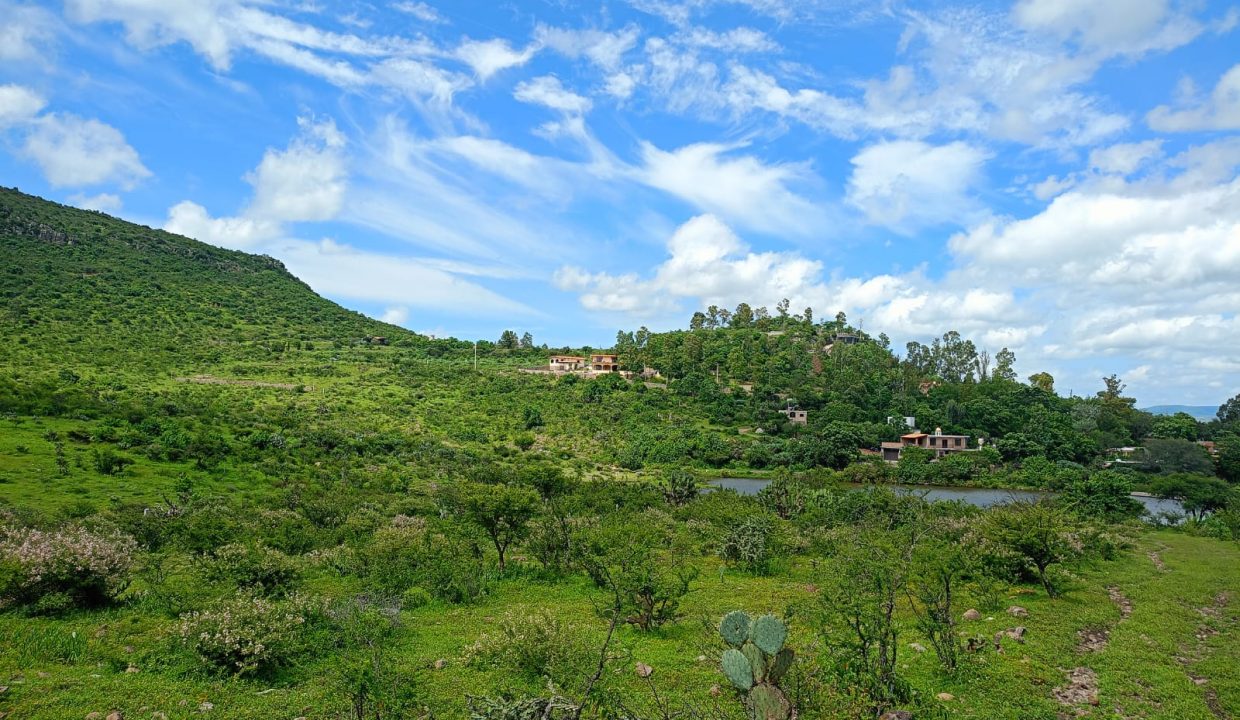 Terreno