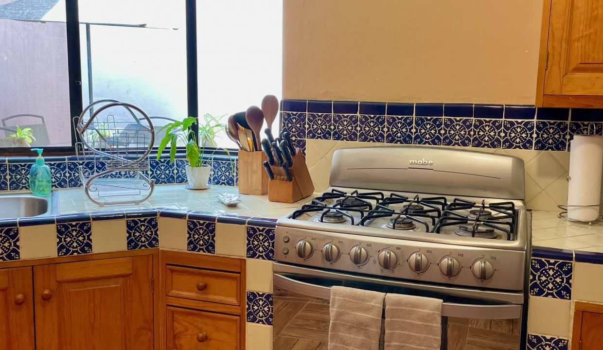 95D6C71F-ADE3-46E6-B65F-A4995C260564_1_201_a