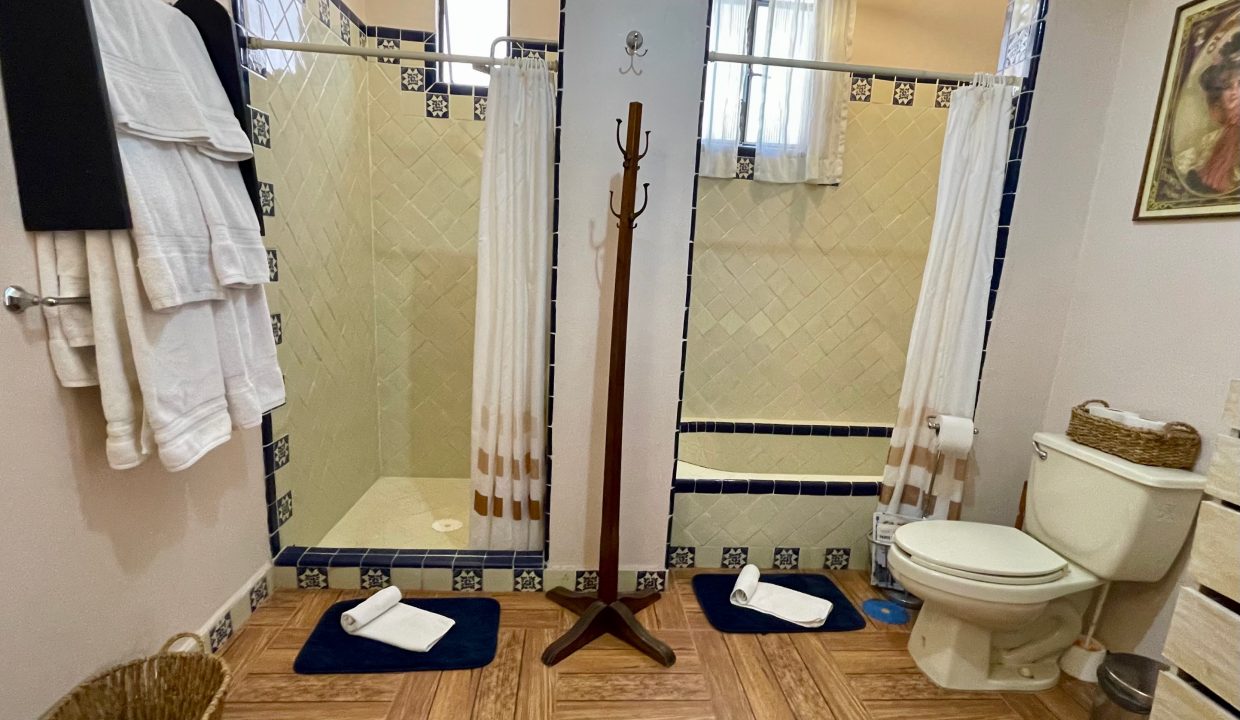 A2E96D97-9CCF-4231-B399-5946712CA620_1_201_a