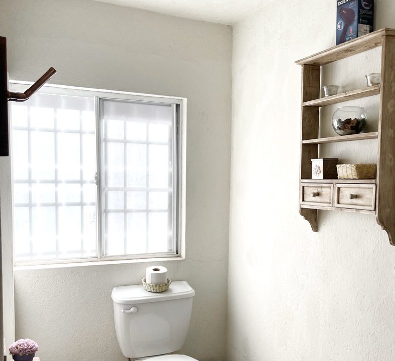 BE2221F9-A185-41BA-AFFC-A796A30F52D0_1_105_c