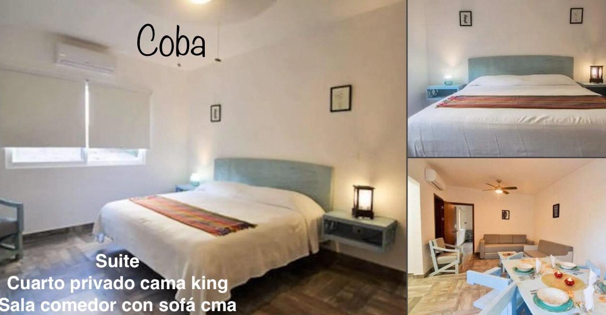 WhatsApp Image 2026-01-27 at 13.35.40 (2)