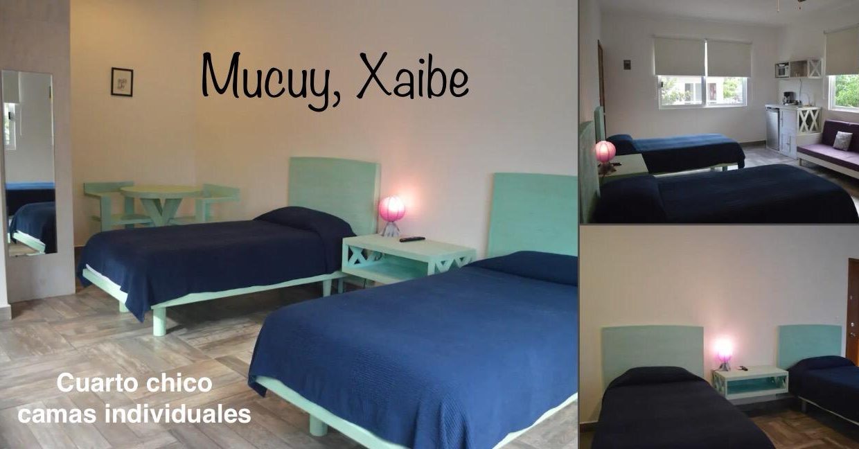 WhatsApp Image 2026-01-27 at 13.35.40 (3)