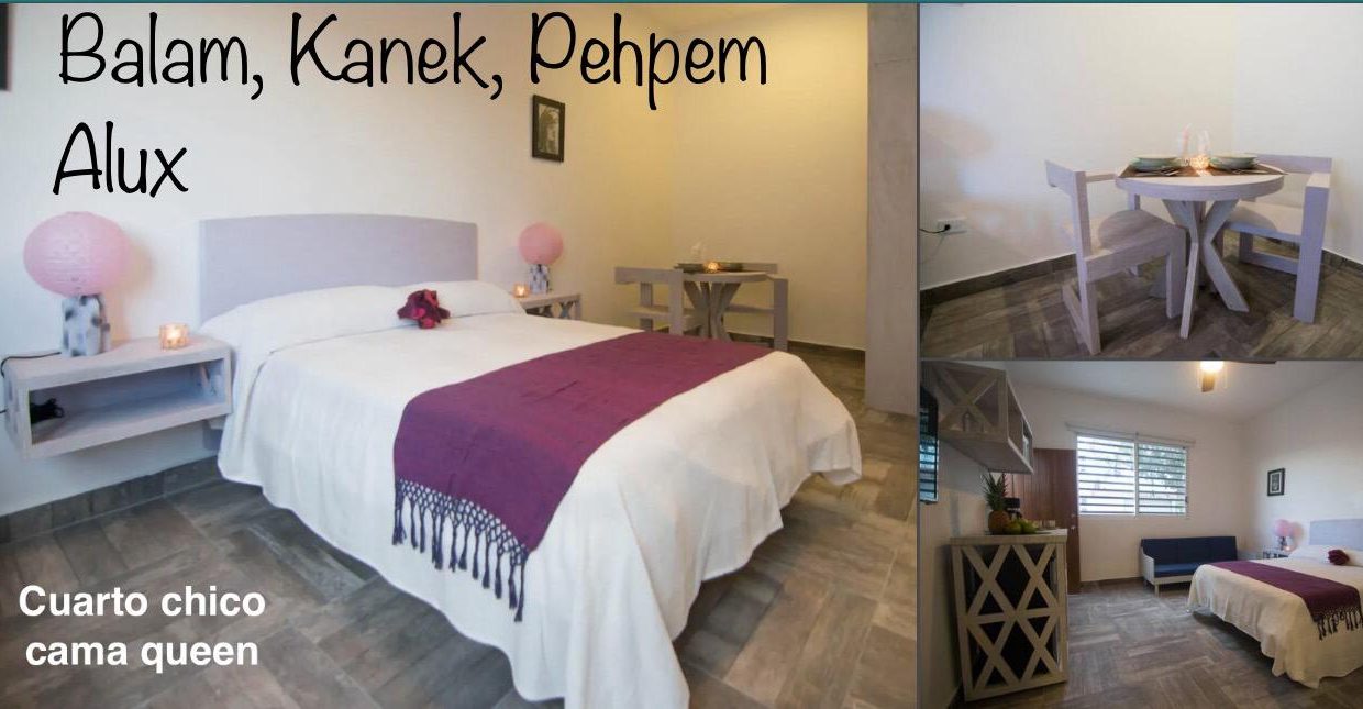 WhatsApp Image 2026-01-27 at 13.35.40 (4)