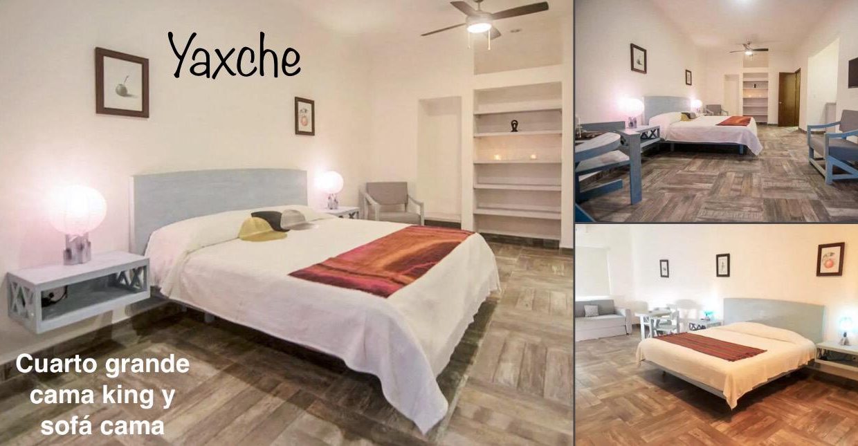 WhatsApp Image 2026-01-27 at 13.35.40