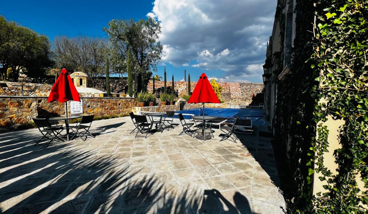 PHOTO-2026-01-28-17-00-41 2