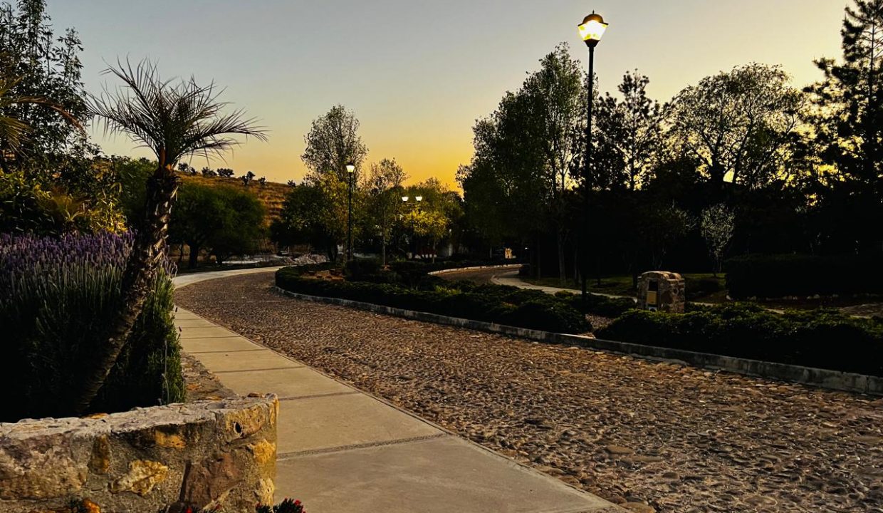 PHOTO-2026-01-28-17-02-35 5