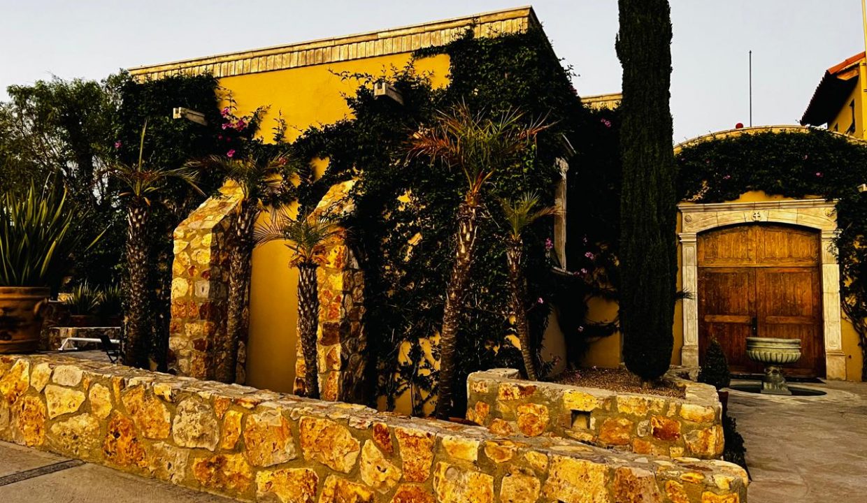 PHOTO-2026-01-28-17-02-35 6