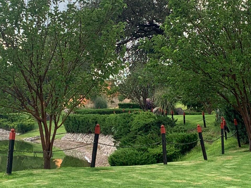 PHOTO-2026-01-28-17-03-24 10