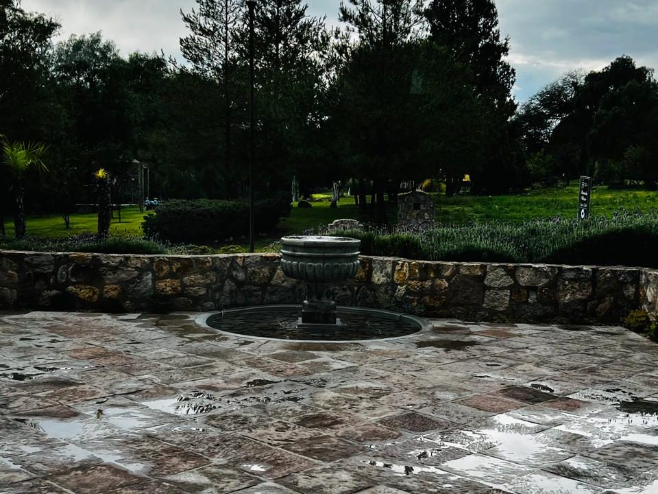 PHOTO-2026-01-28-17-03-24 6