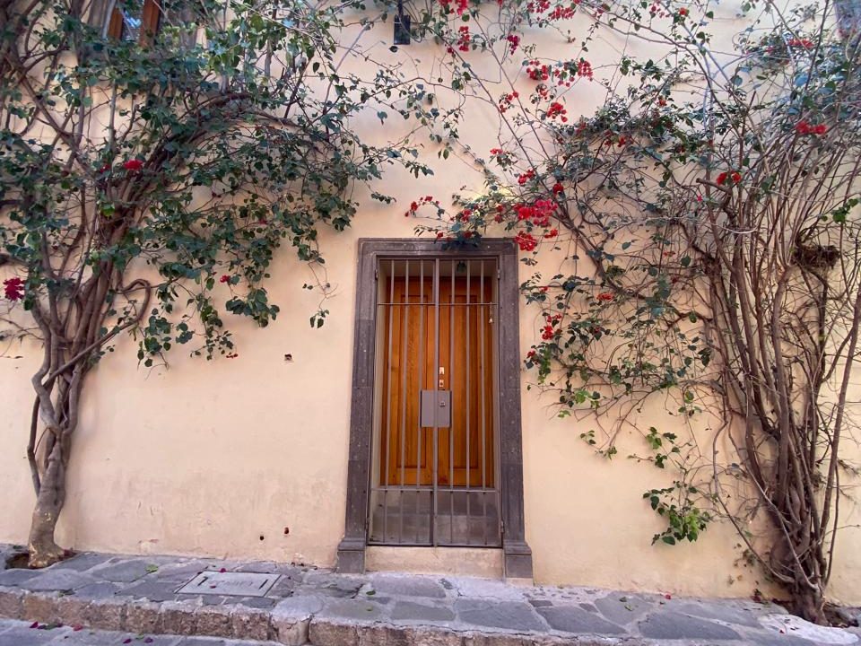 WhatsApp Image 2026-02-18 at 18.30.43