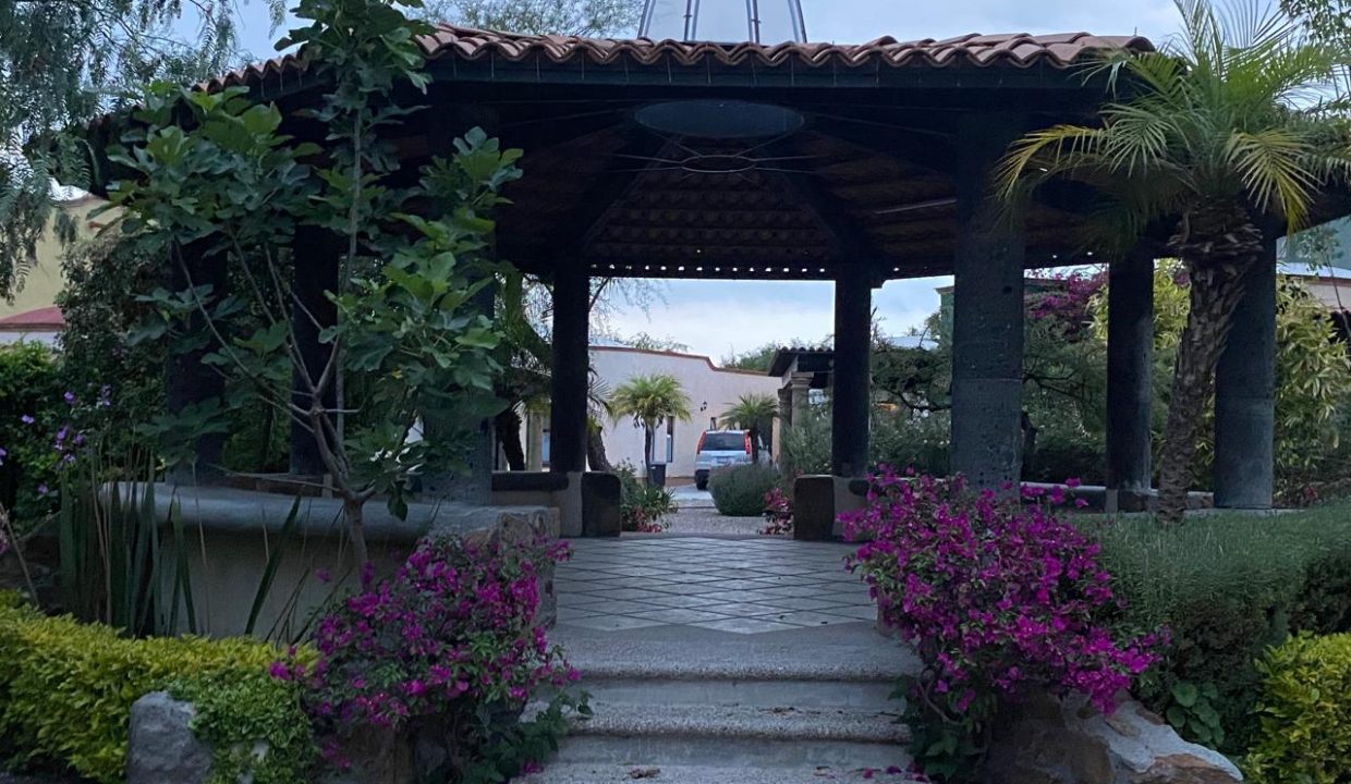 WhatsApp Image 2026-04-20 at 19.44.51